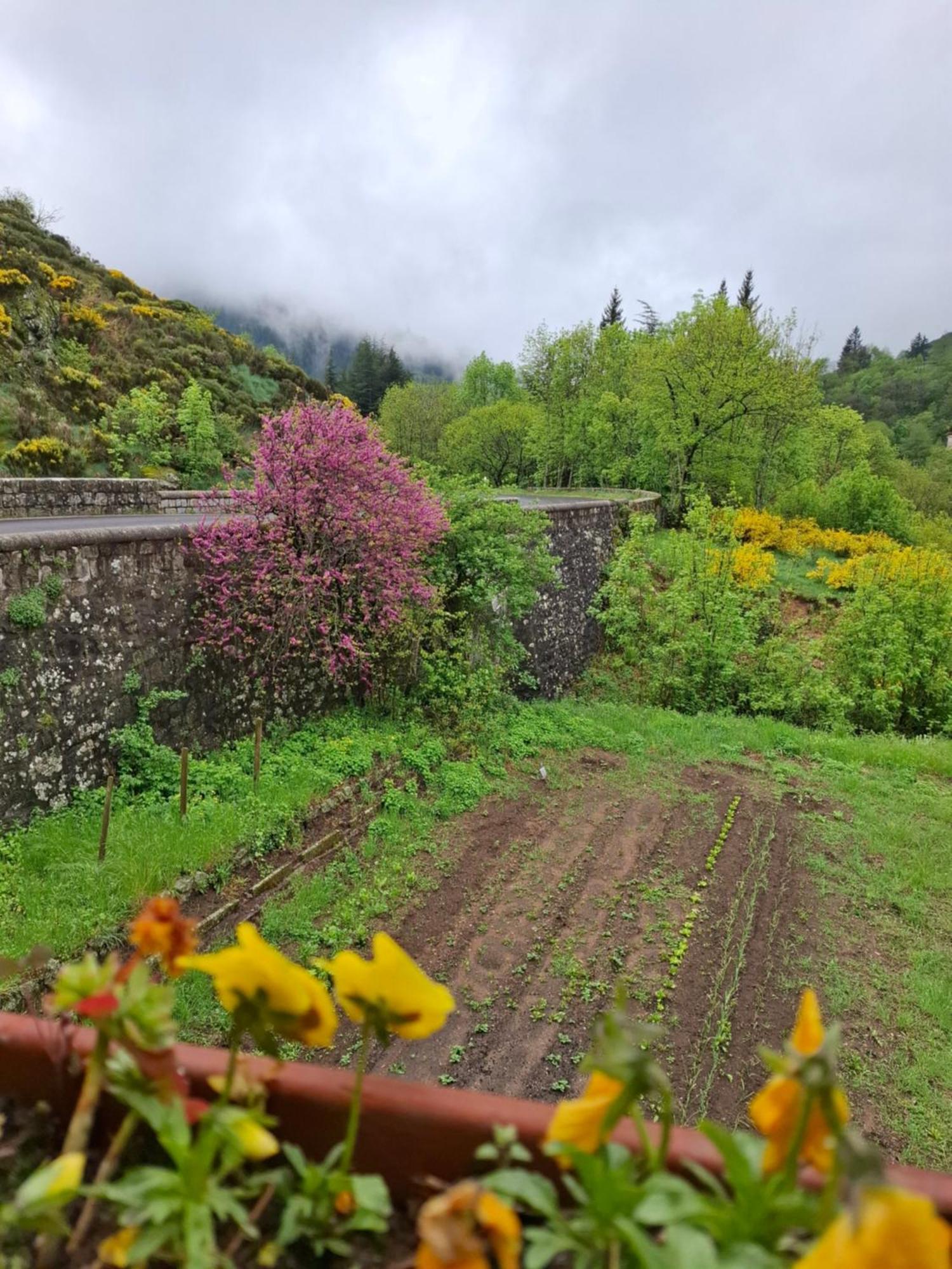 Auberge Arthea Laviolle Kültér fotó
