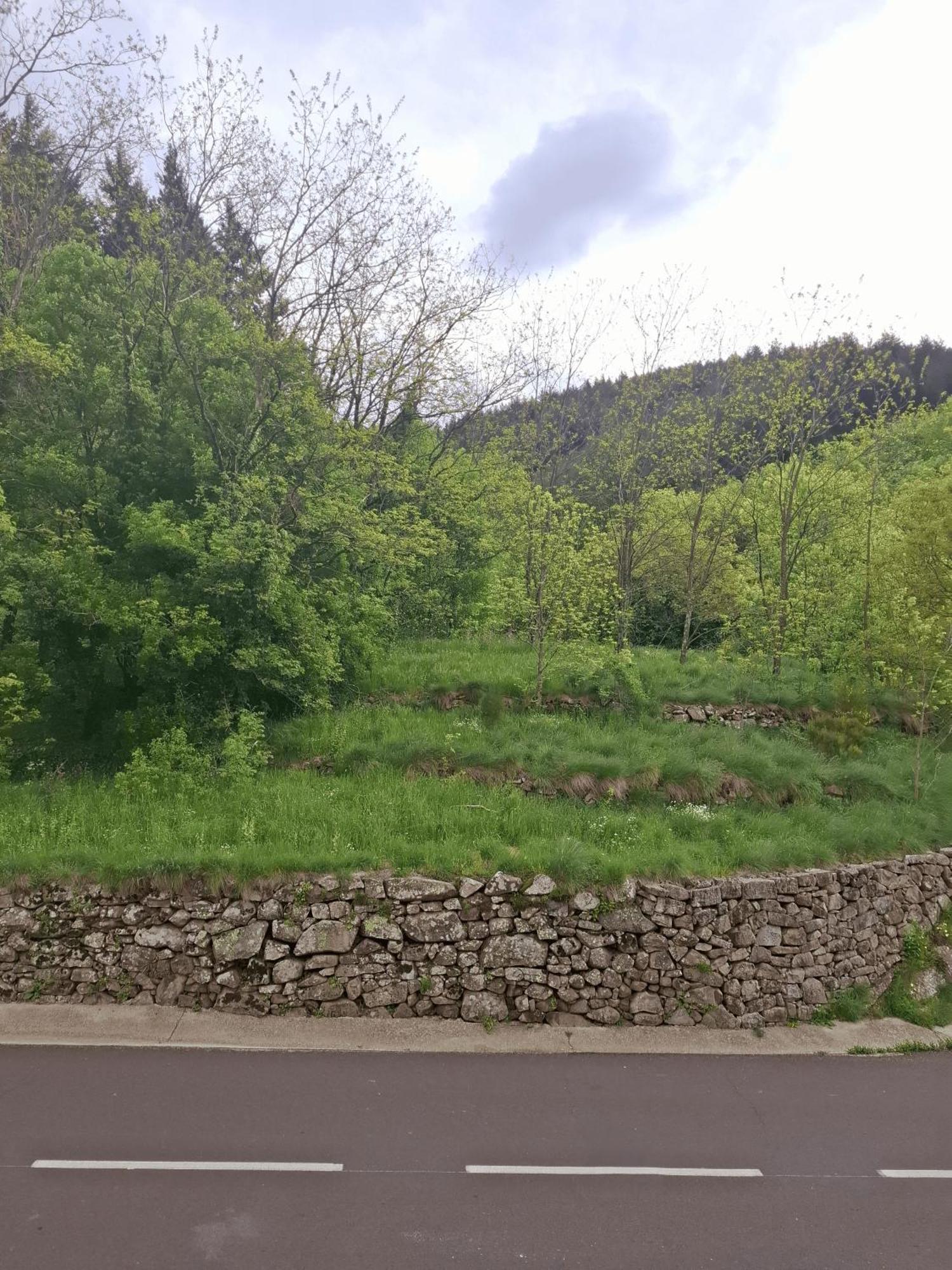 Auberge Arthea Laviolle Szoba fotó